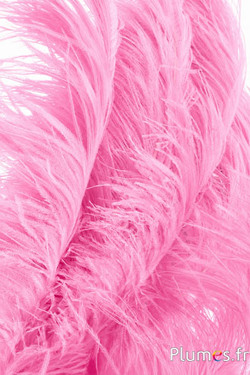 Struzzo premium - 50-60 cm - rosa 